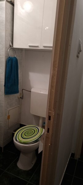 Rahova, Petre Ispirescu